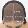 Ombre Highlight Brown 9x6 HD Lace Wig Human Hair Wear Go Glueless Wig
