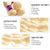 Brazilian Body Wave Hair 613 Blonde Color 3 Bundles With 4x4 Lace Closure - uprettyhair
