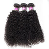 10A High Quality Brazilian Curly Hair 3 Bundles Wholesale Human Hair Bundles - uprettyhair
