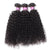 Virgin Human Hair Curly Hair 3pcs with Lace Frontal Wholesale Hair - uprettyhair