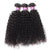 Curly Hair 3 Bundles with Lace Closure High Quality Virgin Human Hair Bundles - uprettyhair