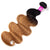 T1B/27 Color Ombre Hair 3pcs Body Weave Wave Human Hair With 4x4 Lace Closure - uprettyhair