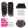 Natural Wave Lace Closure Unprocessed Virgin Hair Water Wave 4x4 Closure - uprettyhair