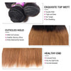 T1B/30 Ombre Hair Dark Roots 3 Bundles Brazilian Straight Hair With Closure - uprettyhair